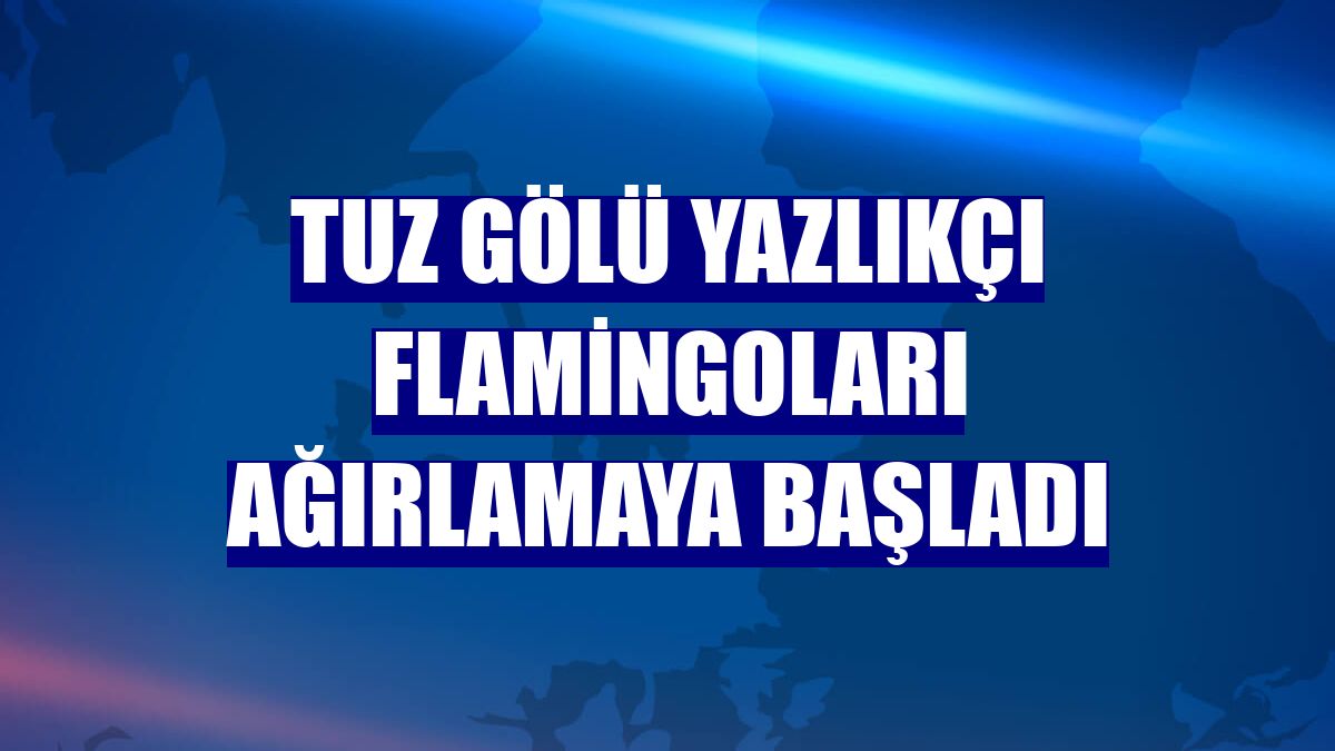 Tuz Gölü yazlıkçı flamingoları ağırlamaya başladı