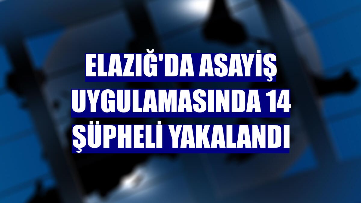Elazığ'da asayiş uygulamasında 14 şüpheli yakalandı