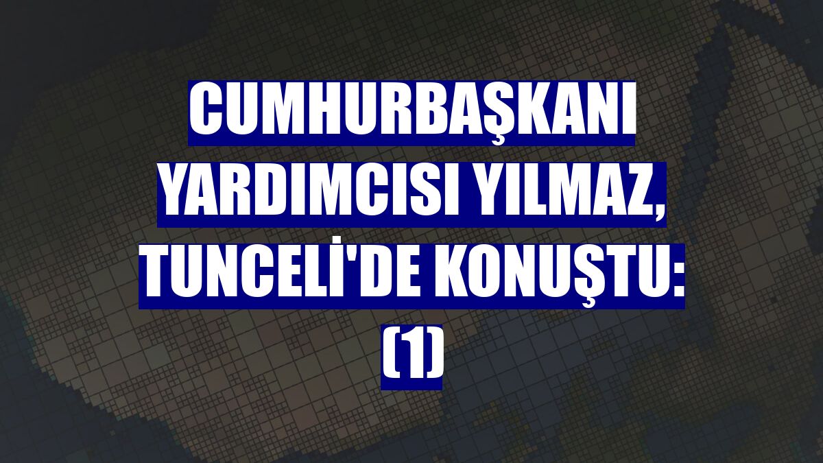 Cumhurbaşkanı Yardımcısı Yılmaz, Tunceli'de konuştu: (1)