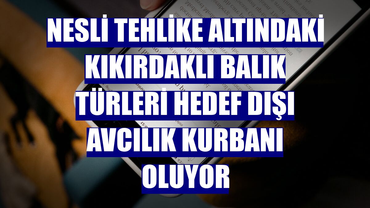 Nesli tehlike altındaki kıkırdaklı balık türleri hedef dışı avcılık kurbanı oluyor