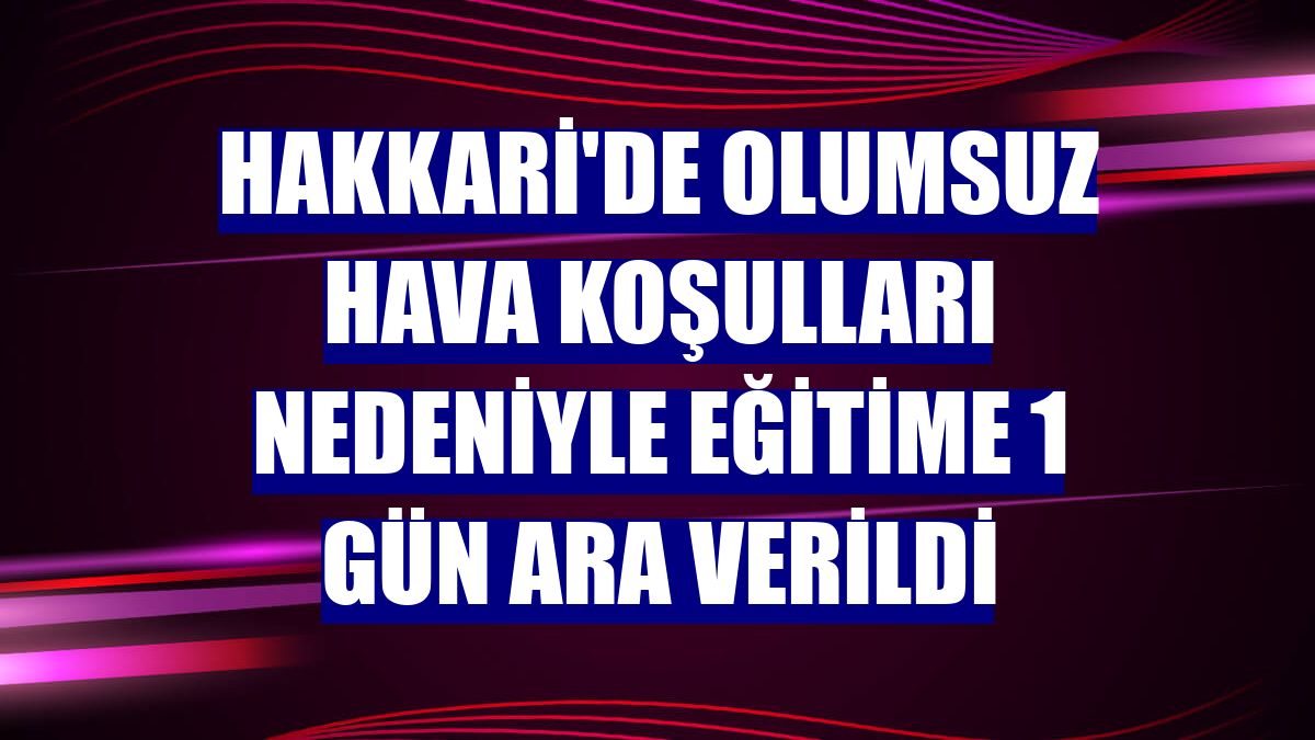 Hakkari'de olumsuz hava koşulları nedeniyle eğitime 1 gün ara verildi