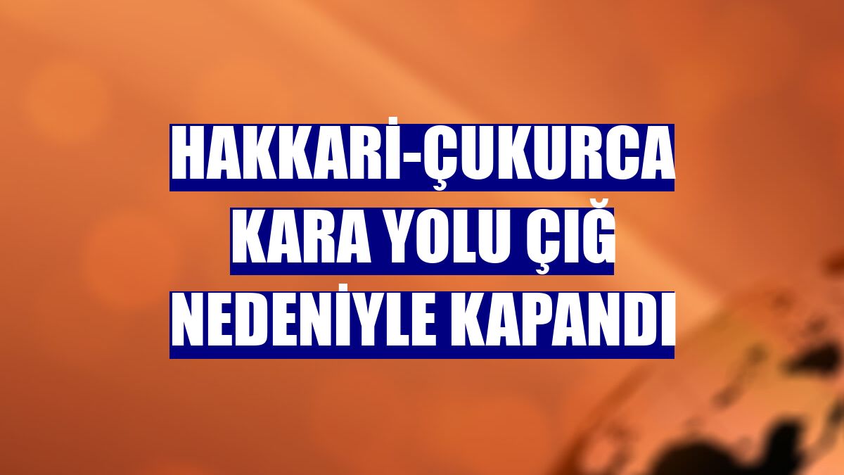 Hakkari-Çukurca kara yolu çığ nedeniyle kapandı