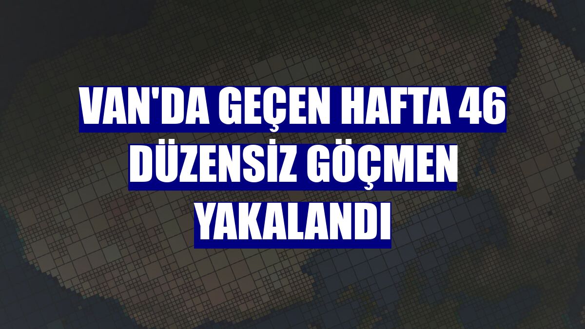 Van'da geçen hafta 46 düzensiz göçmen yakalandı