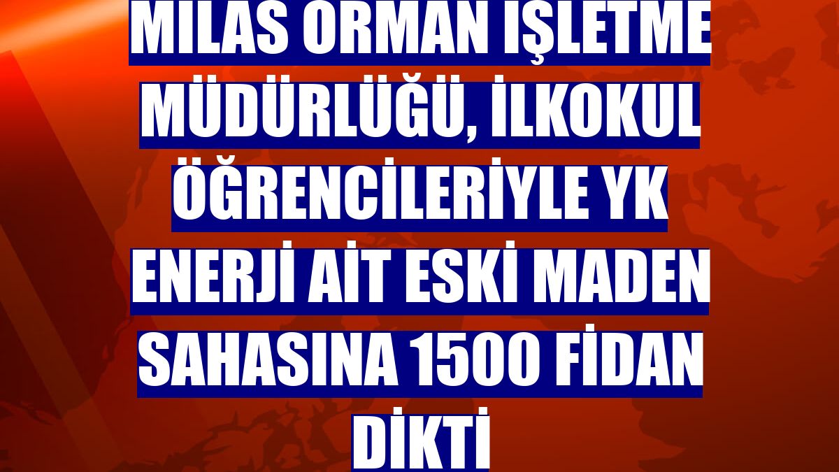 Milas Orman İşletme Müdürlüğü, ilkokul öğrencileriyle YK Enerji ait eski maden sahasına 1500 fidan dikti