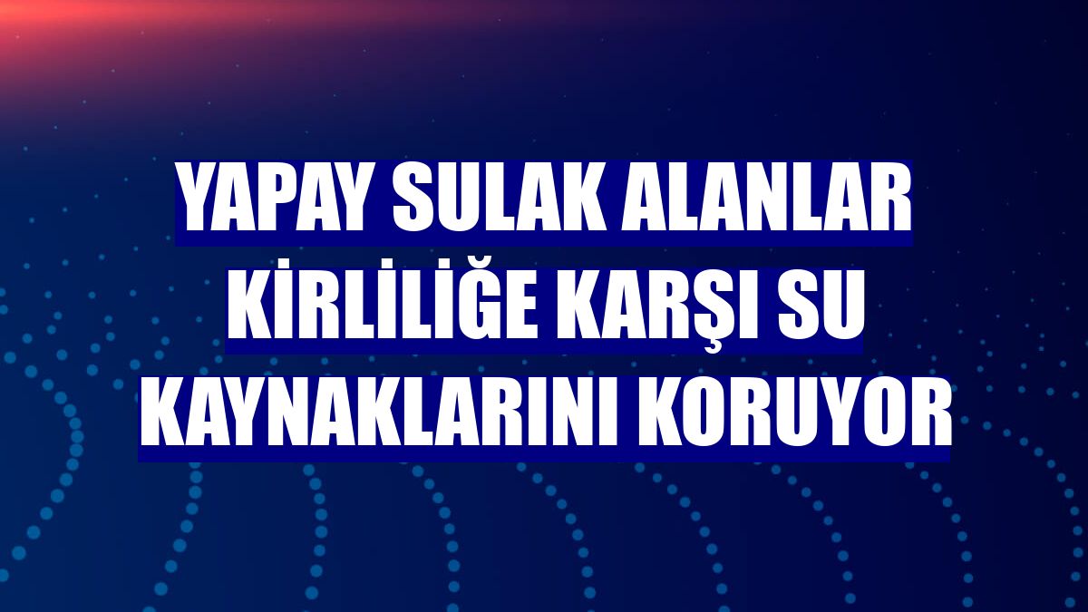 Yapay sulak alanlar kirliliğe karşı su kaynaklarını koruyor