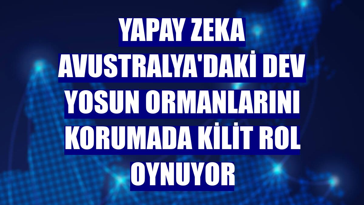 Yapay zeka Avustralya'daki dev yosun ormanlarını korumada kilit rol oynuyor
