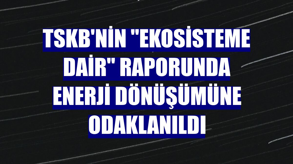TSKB'nin "Ekosisteme Dair" raporunda enerji dönüşümüne odaklanıldı