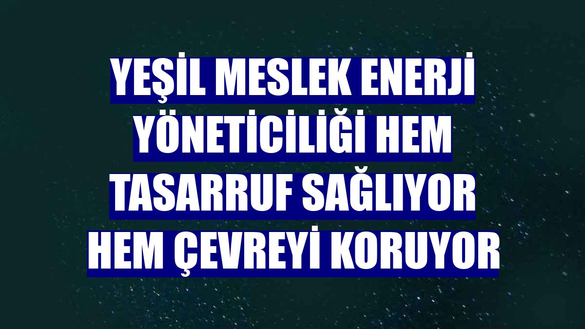 Yeşil meslek enerji yöneticiliği hem tasarruf sağlıyor hem çevreyi koruyor
