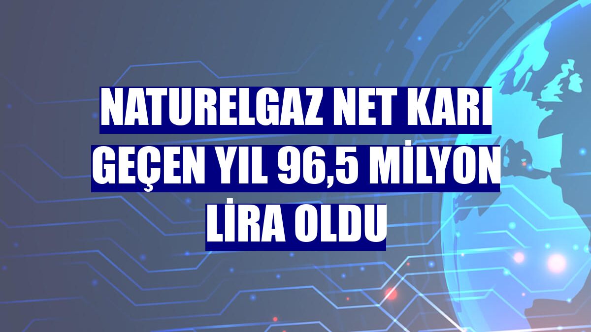 Naturelgaz net karı geçen yıl 96,5 milyon lira oldu