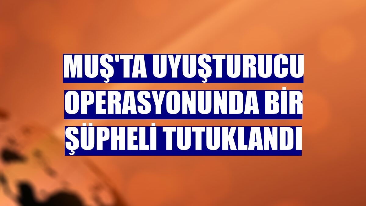 Muş'ta uyuşturucu operasyonunda bir şüpheli tutuklandı