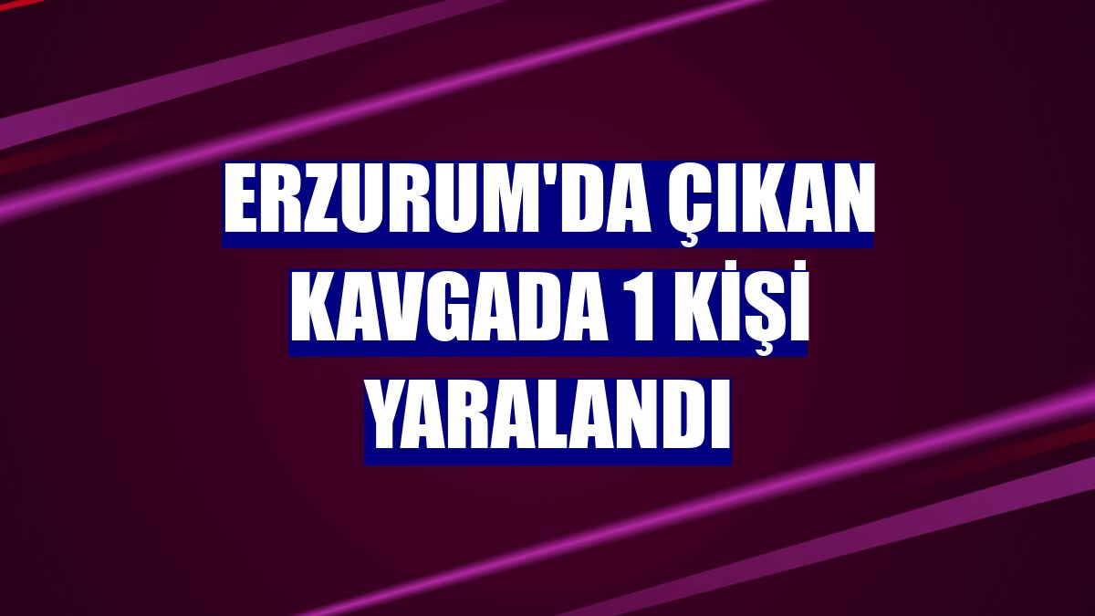 Erzurum'da çıkan kavgada 1 kişi yaralandı