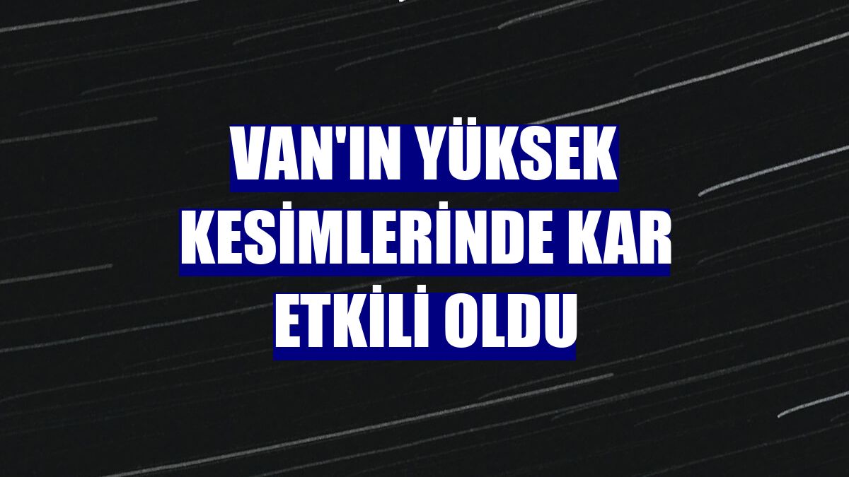 Van'ın yüksek kesimlerinde kar etkili oldu