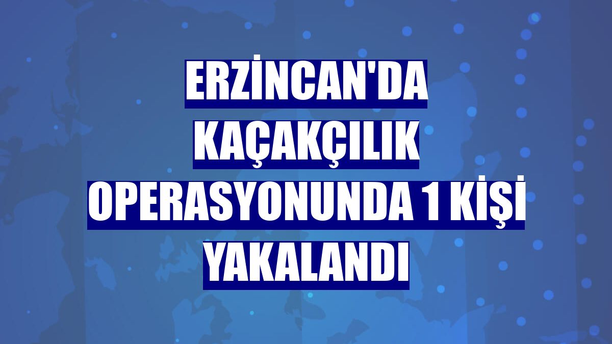 Erzincan'da kaçakçılık operasyonunda 1 kişi yakalandı