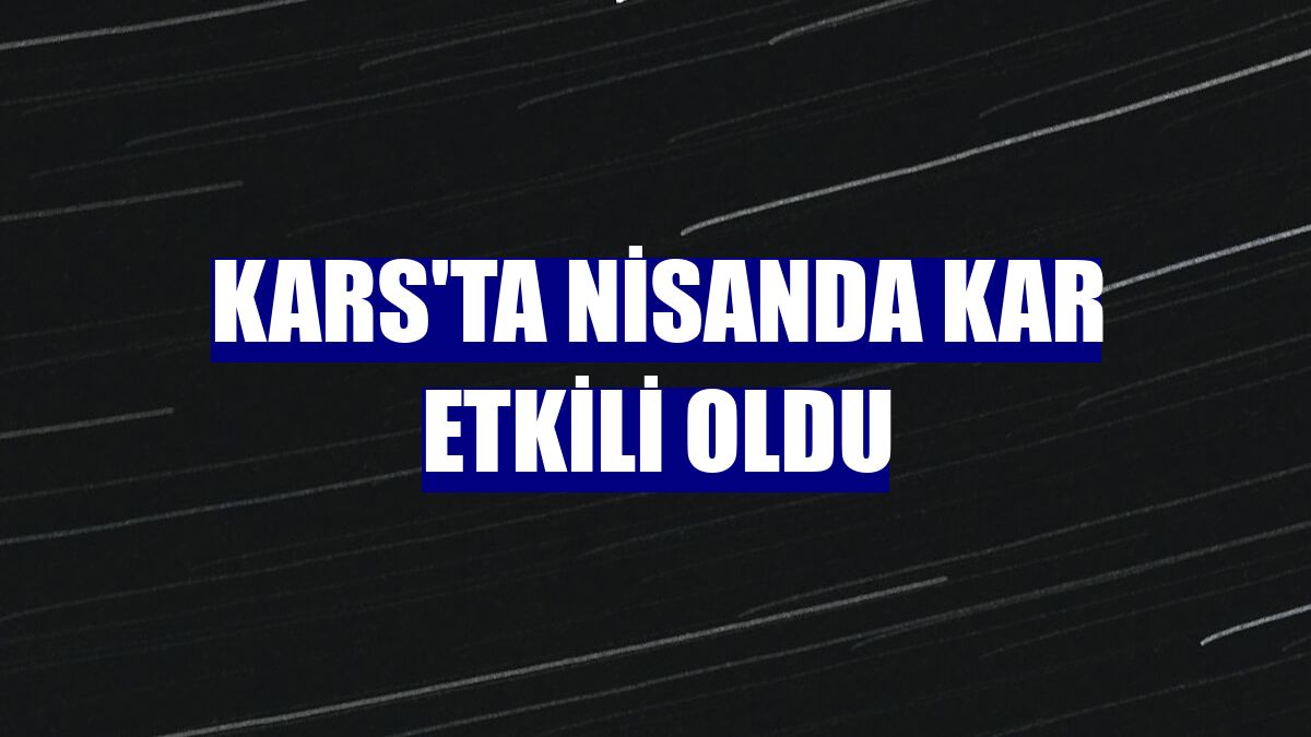 Kars'ta nisanda kar etkili oldu