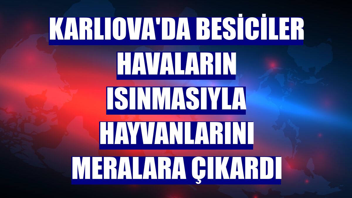 Karlıova'da besiciler havaların ısınmasıyla hayvanlarını meralara çıkardı