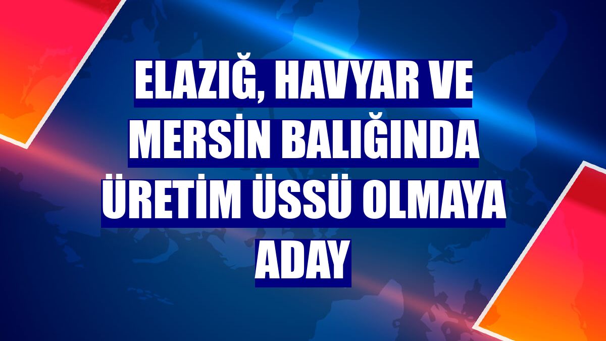 Elazığ, havyar ve Mersin balığında üretim üssü olmaya aday