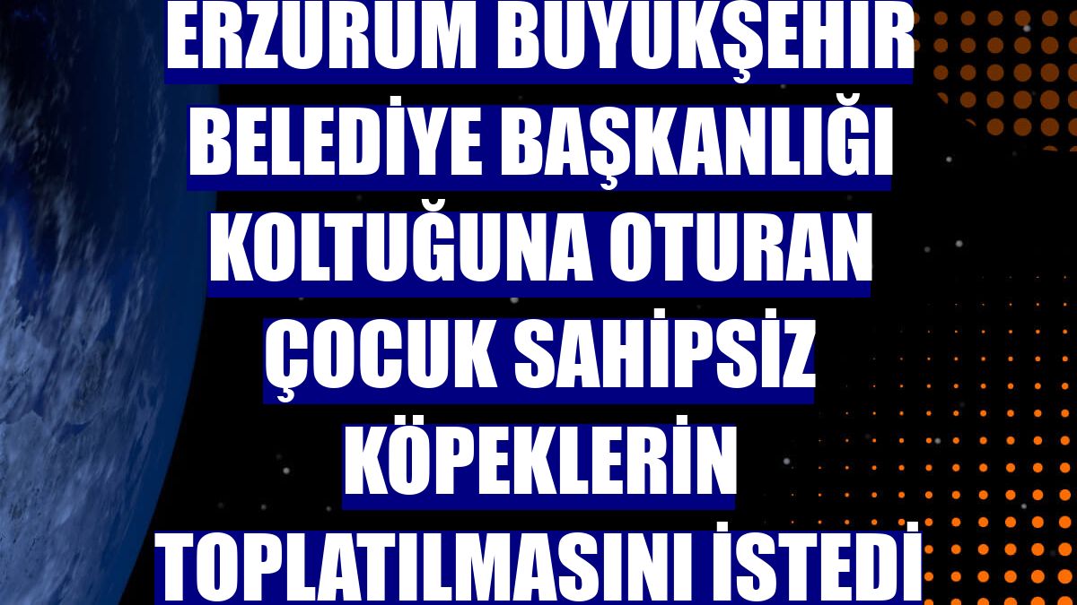 Erzurum Büyükşehir Belediye Başkanlığı koltuğuna oturan çocuk sahipsiz köpeklerin toplatılmasını istedi