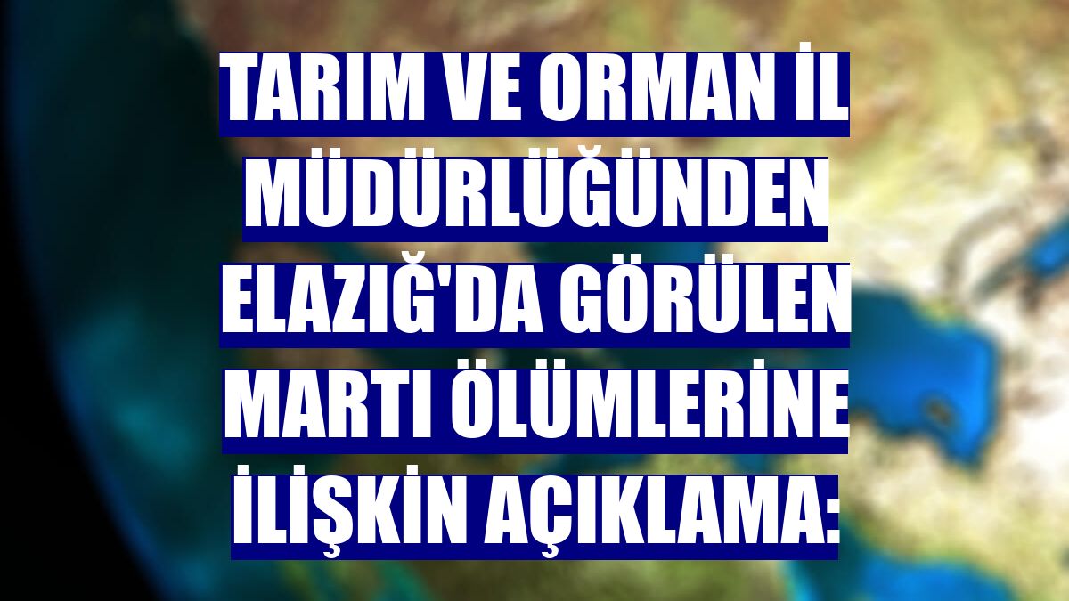 Tarım ve Orman İl Müdürlüğünden Elazığ'da görülen martı ölümlerine ilişkin açıklama: