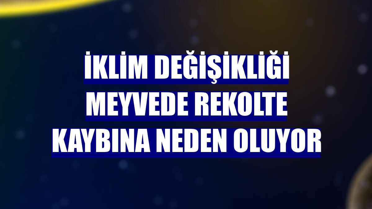 İklim değişikliği meyvede rekolte kaybına neden oluyor