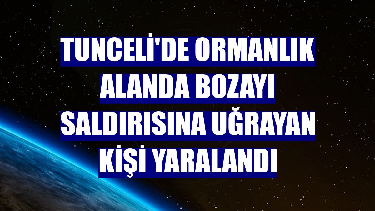 Tunceli'de ormanlık alanda bozayı saldırısına uğrayan kişi yaralandı