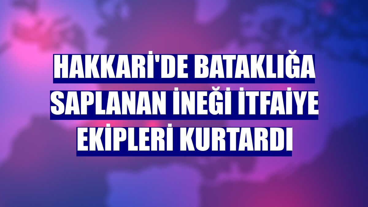 Hakkari'de bataklığa saplanan ineği itfaiye ekipleri kurtardı