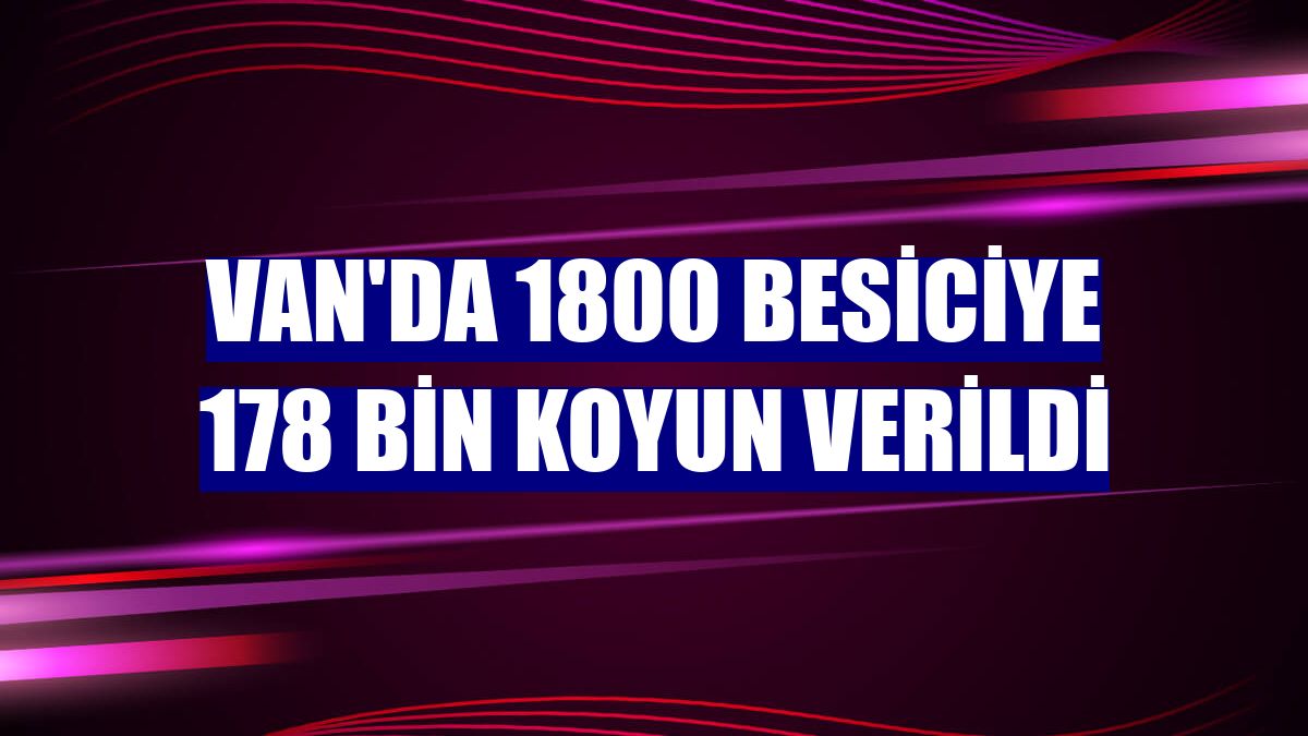 Van'da 1800 besiciye 178 bin koyun verildi
