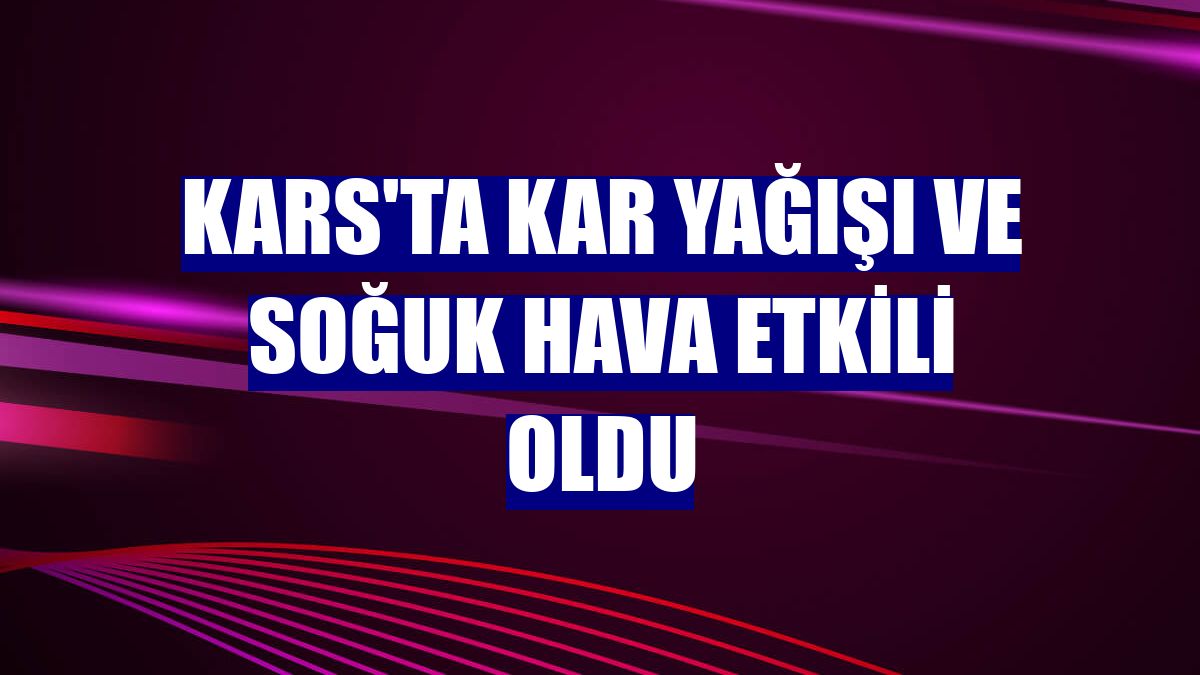 Kars'ta kar yağışı ve soğuk hava etkili oldu