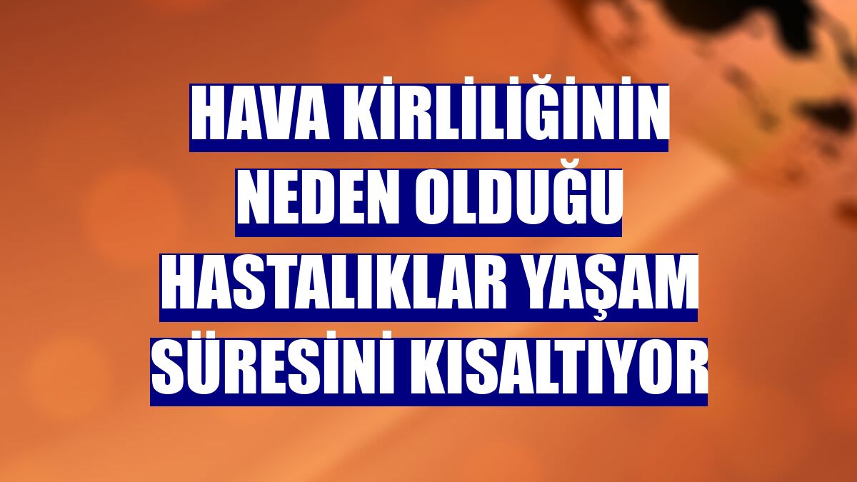 Hava kirliliğinin neden olduğu hastalıklar yaşam süresini kısaltıyor