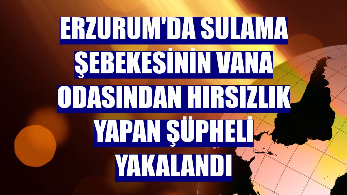 Erzurum'da sulama şebekesinin vana odasından hırsızlık yapan şüpheli yakalandı