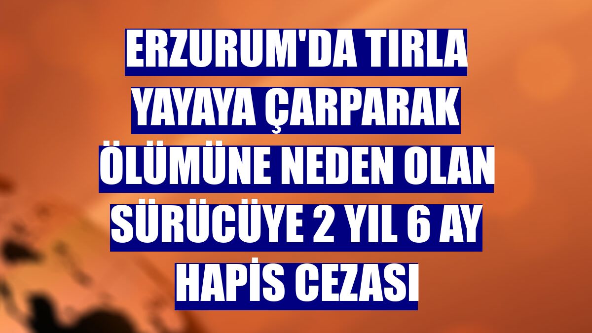 Erzurum'da tırla yayaya çarparak ölümüne neden olan sürücüye 2 yıl 6 ay hapis cezası