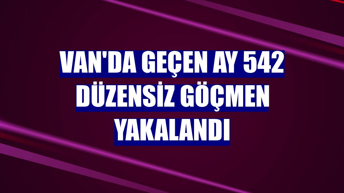 Van'da geçen ay 542 düzensiz göçmen yakalandı