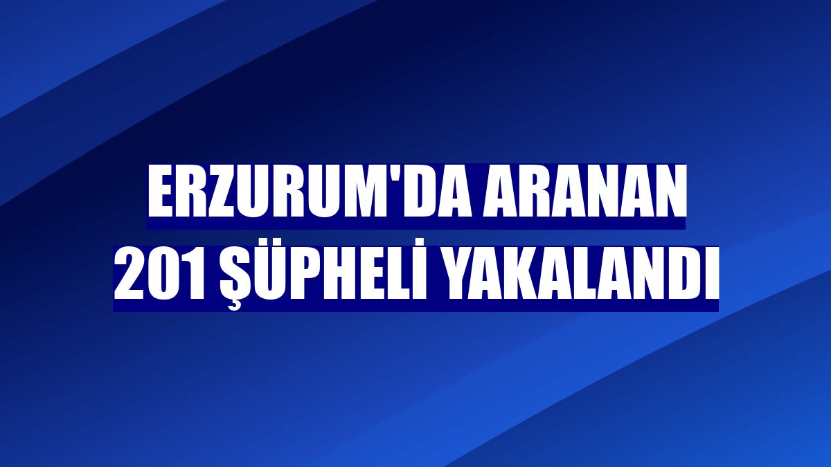 Erzurum'da aranan 201 şüpheli yakalandı