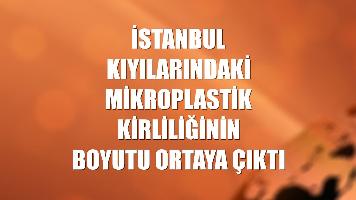 İstanbul kıyılarındaki mikroplastik kirliliğinin boyutu ortaya çıktı