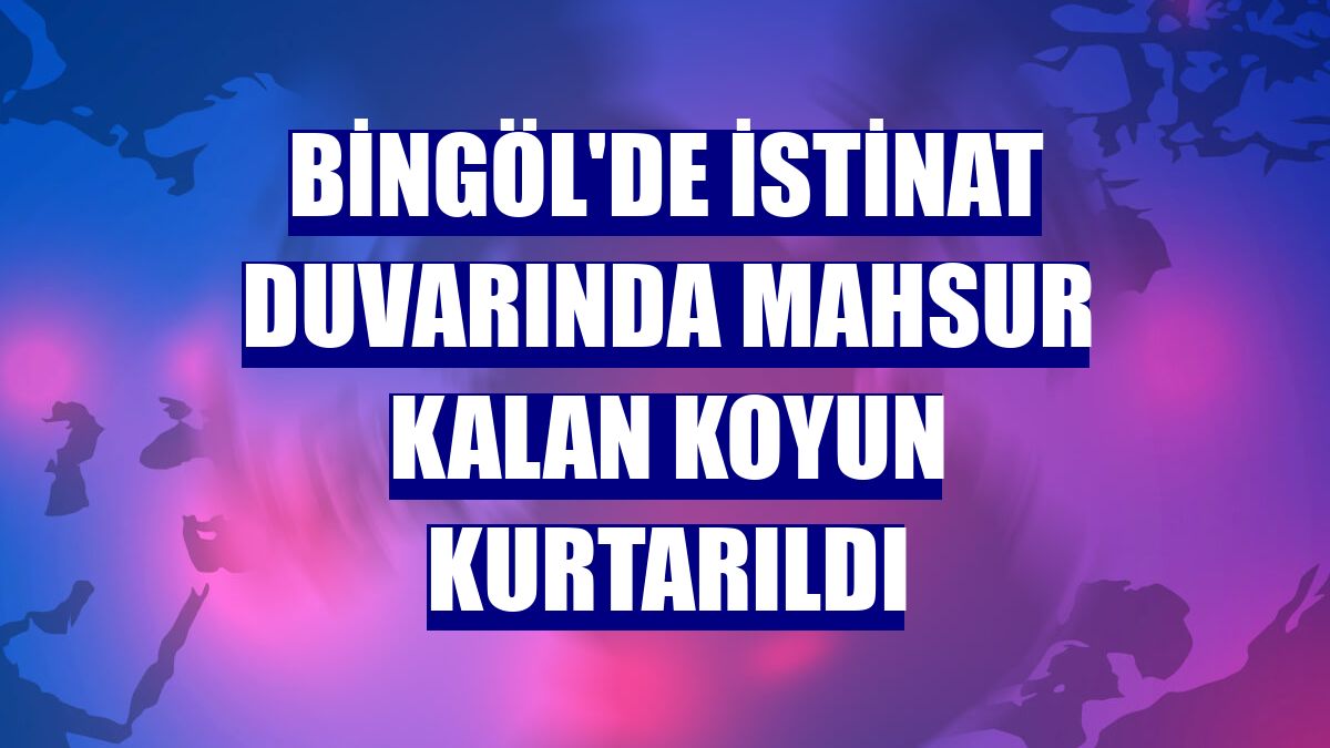 Bingöl'de istinat duvarında mahsur kalan koyun kurtarıldı