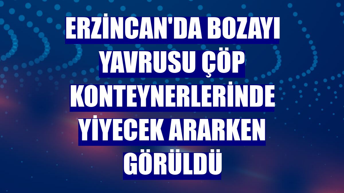 Erzincan'da bozayı yavrusu çöp konteynerlerinde yiyecek ararken görüldü