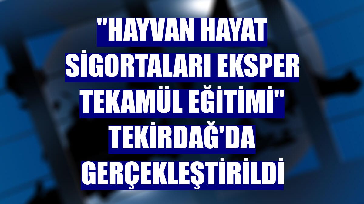 "Hayvan Hayat Sigortaları Eksper Tekamül Eğitimi" Tekirdağ'da gerçekleştirildi