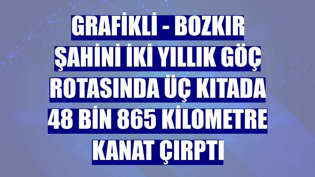 GRAFİKLİ - Bozkır şahini iki yıllık göç rotasında üç kıtada 48 bin 865 kilometre kanat çırptı