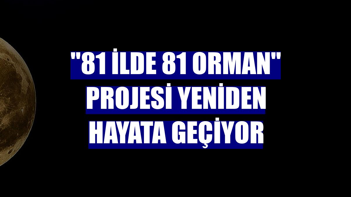 "81 İlde 81 Orman" projesi yeniden hayata geçiyor
