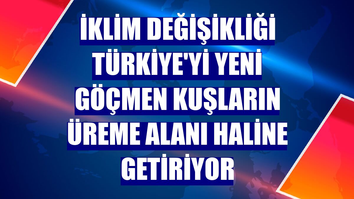 İklim değişikliği Türkiye'yi yeni göçmen kuşların üreme alanı haline getiriyor