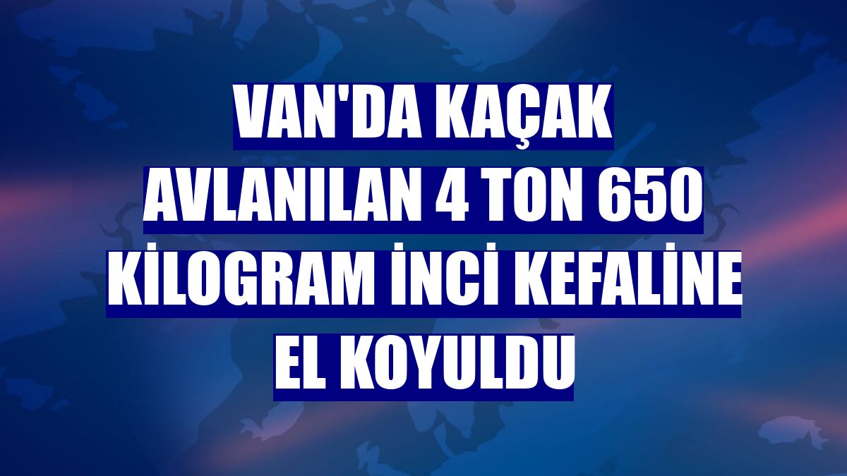 Van'da kaçak avlanılan 4 ton 650 kilogram inci kefaline el koyuldu