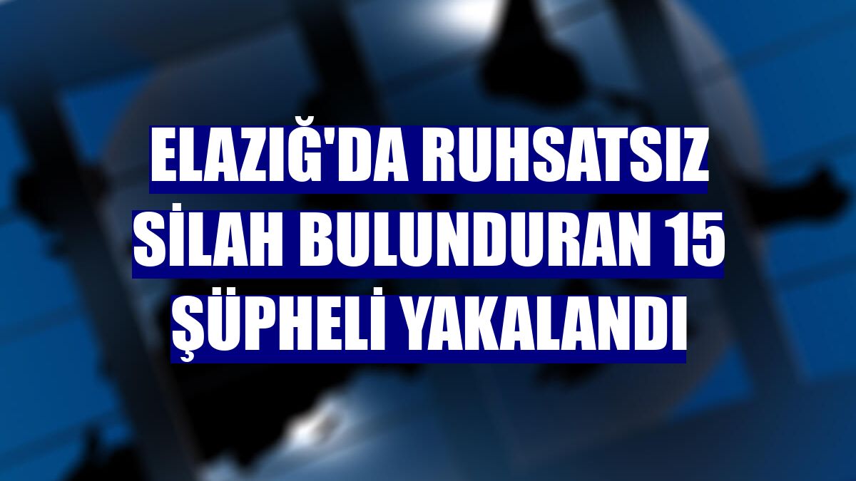 Elazığ'da ruhsatsız silah bulunduran 15 şüpheli yakalandı