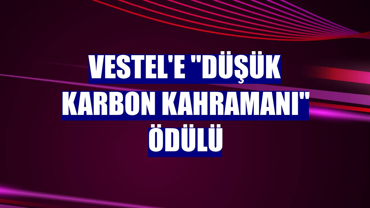 Vestel'e "Düşük Karbon Kahramanı" ödülü