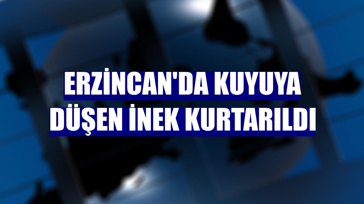 Erzincan'da kuyuya düşen inek kurtarıldı