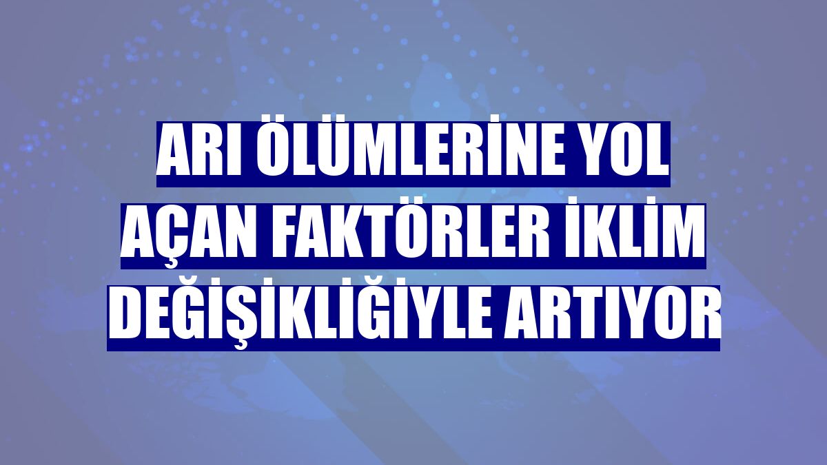 Arı ölümlerine yol açan faktörler iklim değişikliğiyle artıyor