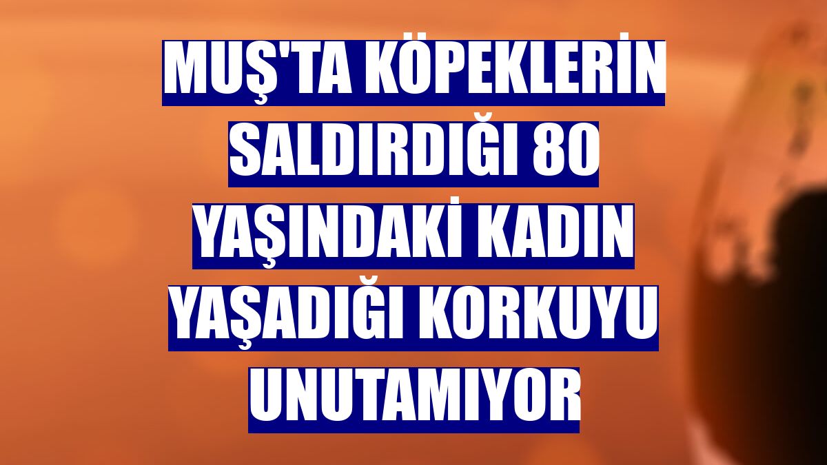 Muş'ta köpeklerin saldırdığı 80 yaşındaki kadın yaşadığı korkuyu unutamıyor