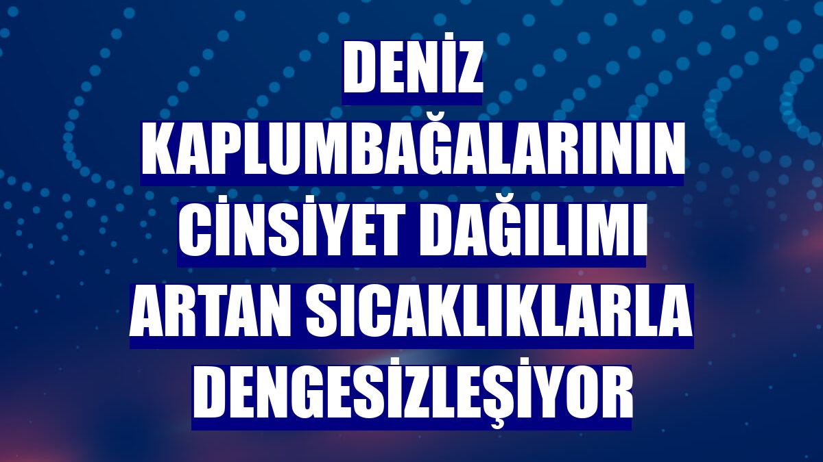 Deniz kaplumbağalarının cinsiyet dağılımı artan sıcaklıklarla dengesizleşiyor