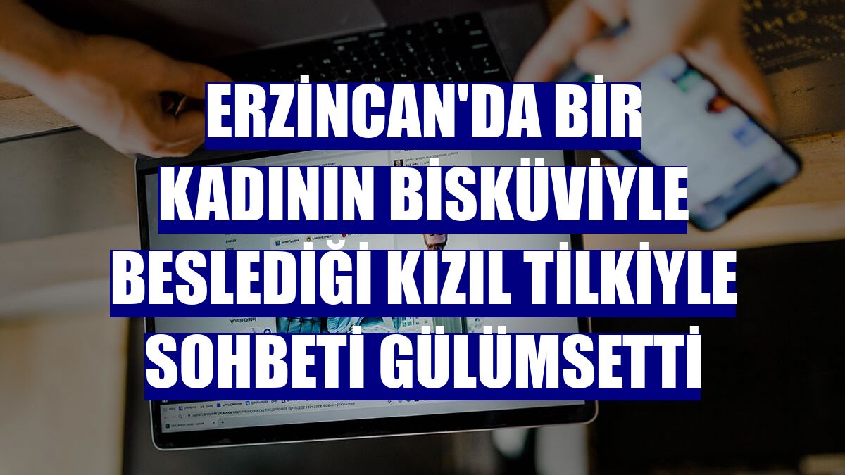 Erzincan'da bir kadının bisküviyle beslediği kızıl tilkiyle sohbeti gülümsetti