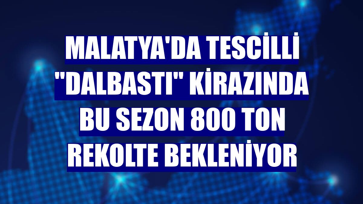 Malatya'da tescilli "dalbastı" kirazında bu sezon 800 ton rekolte bekleniyor