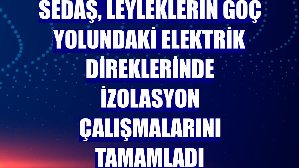 SEDAŞ, leyleklerin göç yolundaki elektrik direklerinde izolasyon çalışmalarını tamamladı
