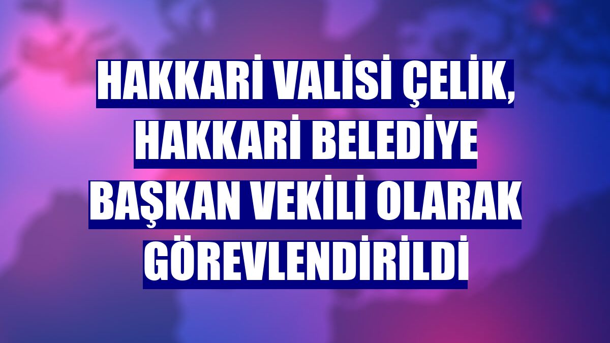 Hakkari Valisi Çelik, Hakkari Belediye Başkan Vekili olarak görevlendirildi